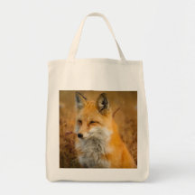 maculez le sac, renard fourre-tout, client de