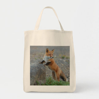 Tote Bag maculez le sac, renard fourre-tout, client de