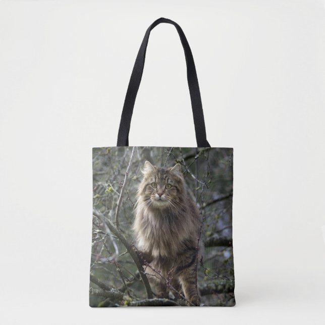 Tote Bag Maine Coon cheveux longs Tabby Cat (Devant)