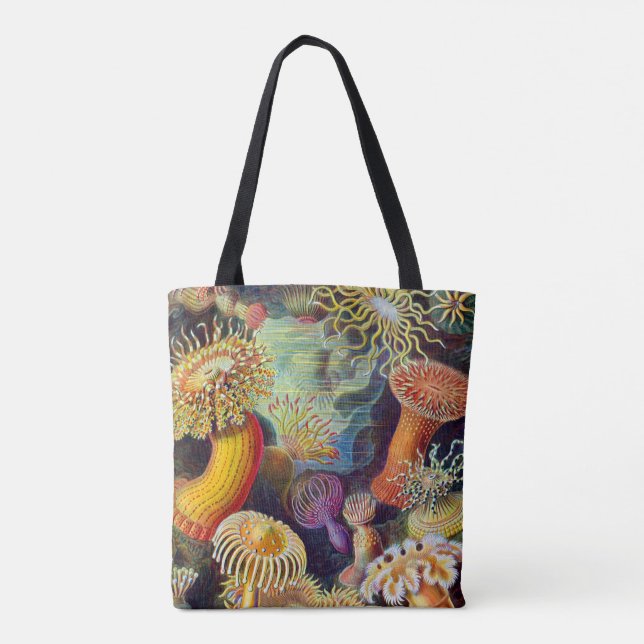 Tote Bag Marine d'actinies d'Ernst Haeckel : Actiniae (Dos)