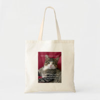 Mème de chat