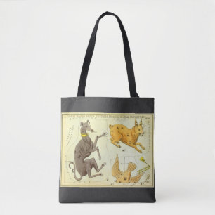 Tote Bag Miroir d'Urania, Carte céleste d'astronomie vintag