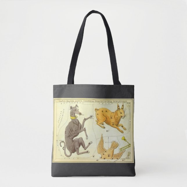 Tote Bag Miroir d'Urania, Carte céleste d'astronomie vintag (Devant)