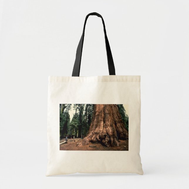 Tote Bag Montagne vivante (Devant)