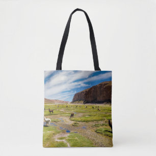 Tote Bag Montagnes Andes boliviennes
