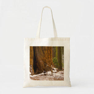 Tote Bag Mule Deer