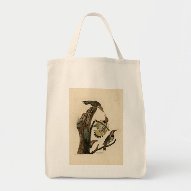 Tote Bag Norther Flicker de Audubon's Birds of America (Devant)