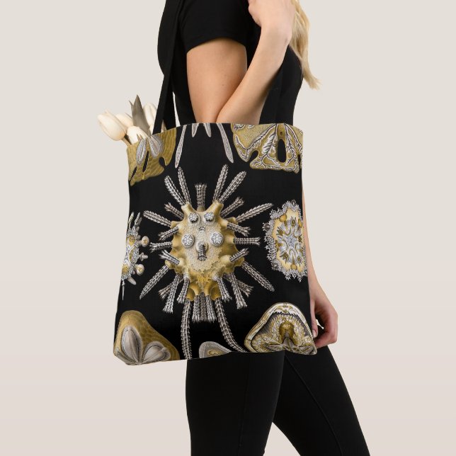 Tote Bag Oursins de mer antiques dollars de sable par Ernst (De près)