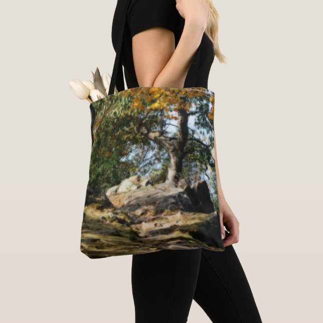 Tote Bag Paisible sentier forestier Nature (De près)