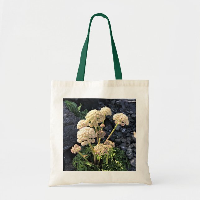Tote Bag Parc Rock State de Sisters (Devant)