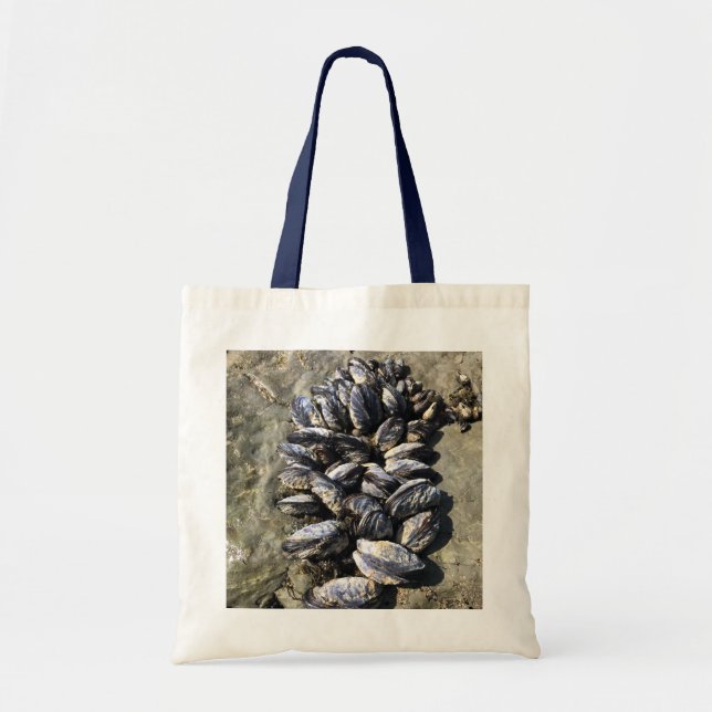 Tote Bag Parc Rock State de Sisters (Devant)