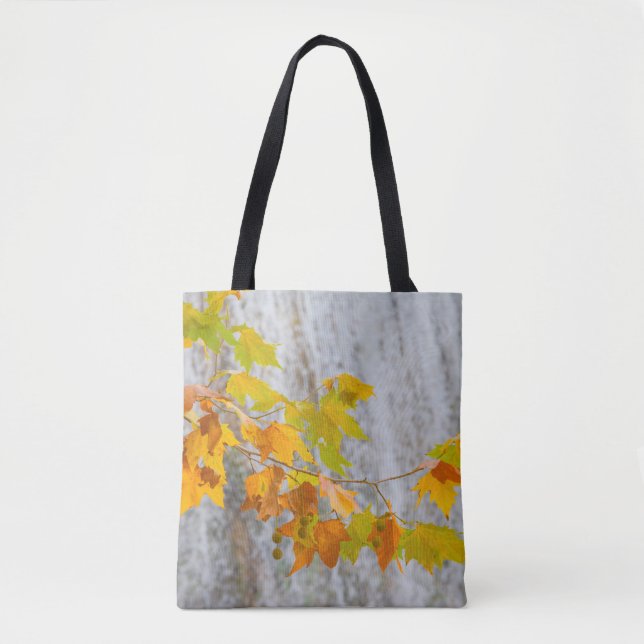 Tote Bag Parque Natural del Monasterio - feuille d'automne (Devant)