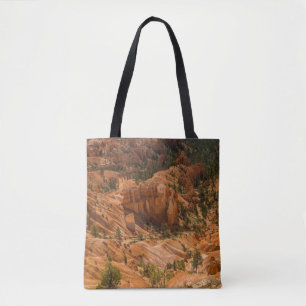 Tote Bag Paysage désertique du Parc national du Canyon de B