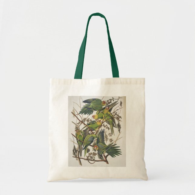 Tote Bag Perruche de Caroline, des "oiseaux de l'Amérique", (Devant)