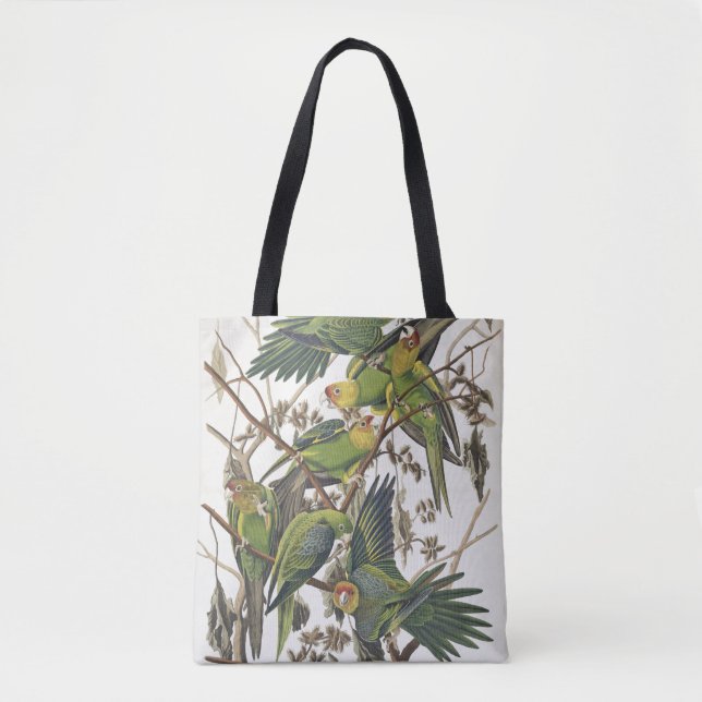 Tote Bag Perruche de Caroline, des "oiseaux de l'Amérique", (Devant)