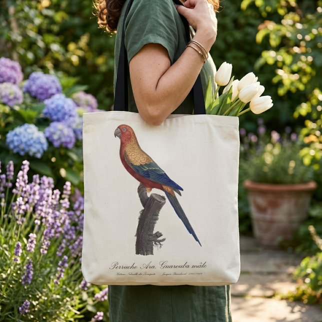 Tote Bag Perruche soleil mâle, Aratinga solstitialis (Sun Parakeet Male, Aratinga Solstitialis. Tote Bag)