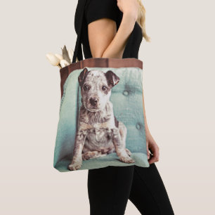 Tote Bag Petit chiot mignon sur la chaise turquoise