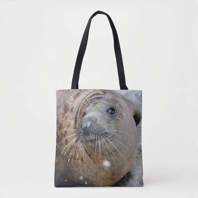 Tote Bag Phoque gris sur glace (Devant)