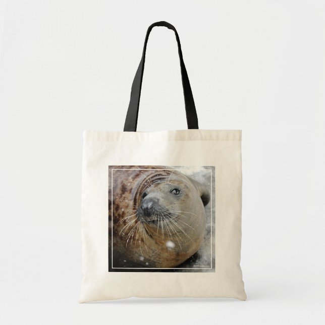 Tote Bag Phoque gris sur glace (Devant)