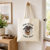 Photo de chien GSD vibes positives seulement
