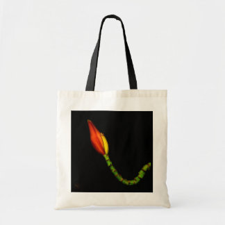 Tote Bag Plantes sur des emballages - fleur rouge de banane