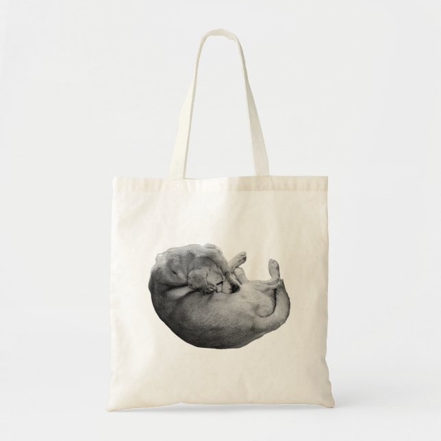Tote Bag Plié En Automne (Devant)