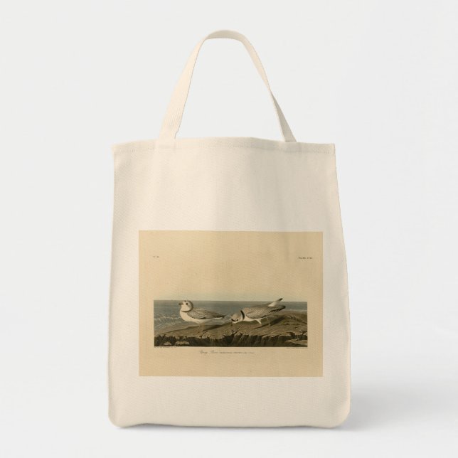 Tote Bag Pluvier siffleur des oiseaux d'Amérique d'Audubon (Devant)