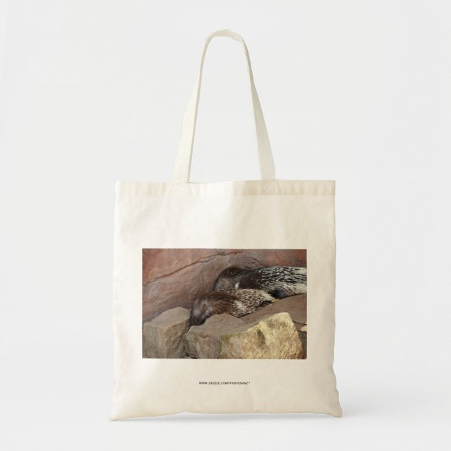 Tote Bag Porcs-épics à crête indienne (Devant)