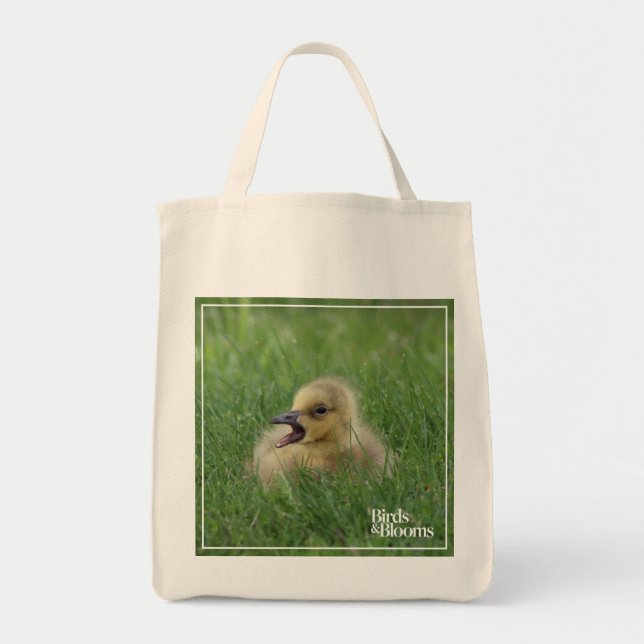 Tote Bag Poussin canadien d'oie (Devant)