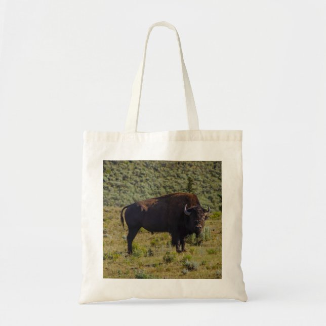 Tote Bag Qui regardez-vous (Devant)
