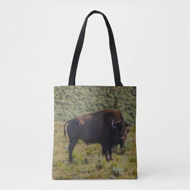 Tote Bag Qui regardez-vous (Devant)