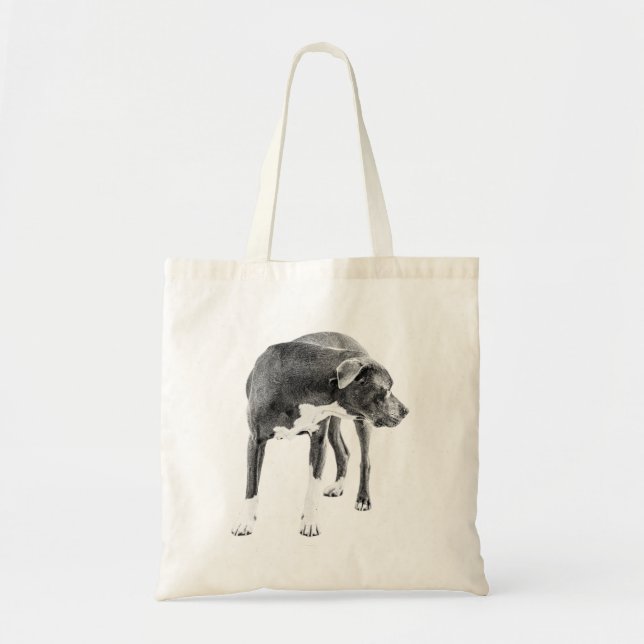 Tote Bag Recherche de ligne citrouille (Devant)