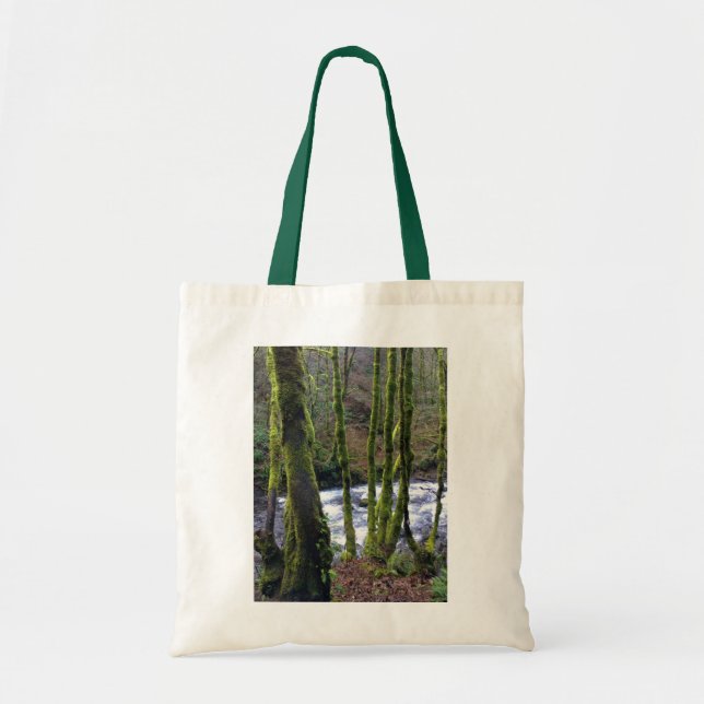 Tote Bag Runoff from Bridal Veil Falls (Devant)