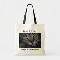 Sauvez une vie ! Adoptez un animal familier d'abri