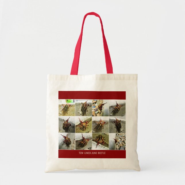 Tote Bag Scarab juin insecte du scarabée Big Bug (Devant)