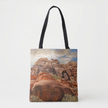 Scène sud-ouest américaine