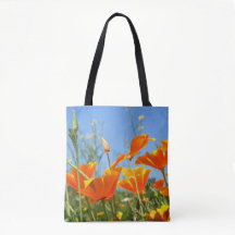 Sentiment estival de fleurs orange sauvages.