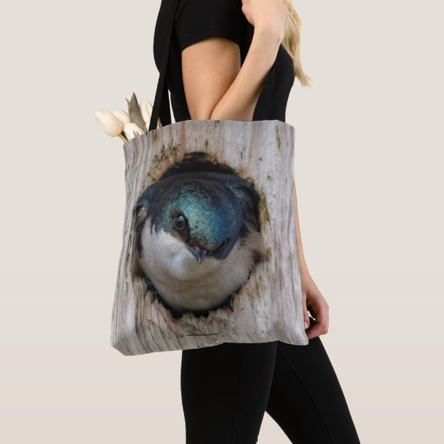 Tote Bag Songeur d'hirondelle d'arbre dans Nestbox (De près)