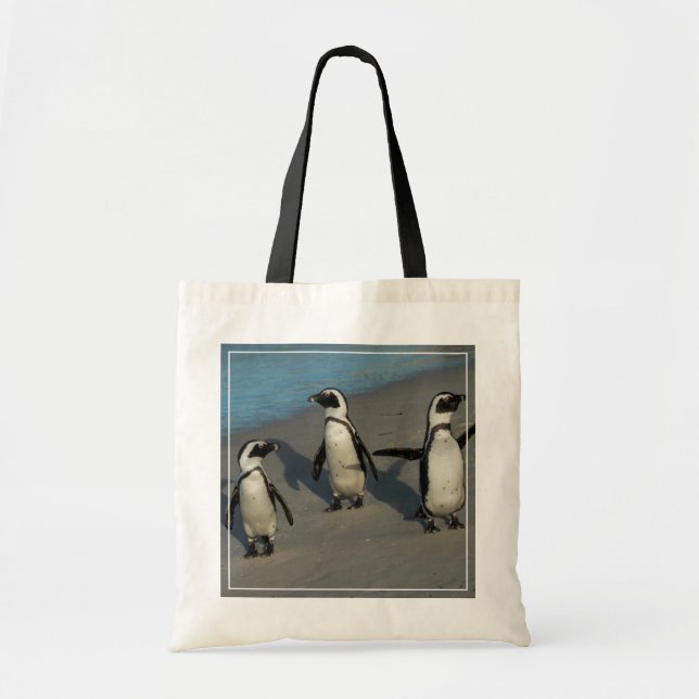 Tote Bag Spheniscus africain Demersus des pingouins | (Devant)