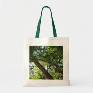 Tote Bag Sycamore Tree Nature verte