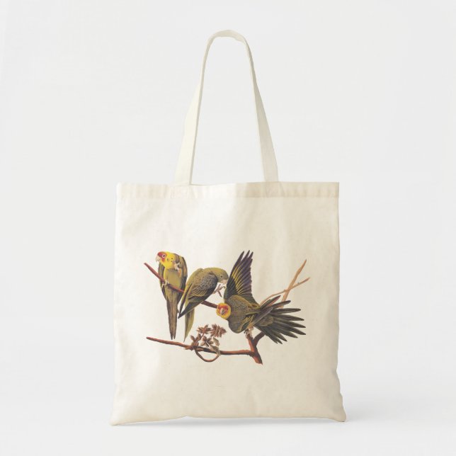Tote Bag T-Shirt Audubon Carolina Parakeet Trio (Devant)