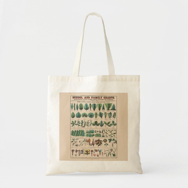 Tote Bag Tableau antique de l'école botanique, nature vinta (Devant)
