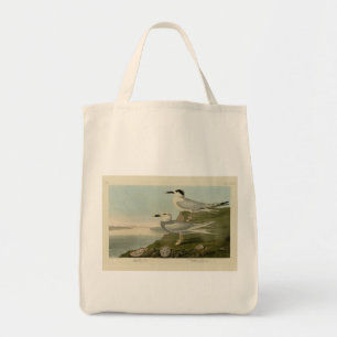 Tote Bag Tern Audubon Birds of America de Havell et Trudeau