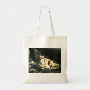 Tote Bag Tiger Catnap