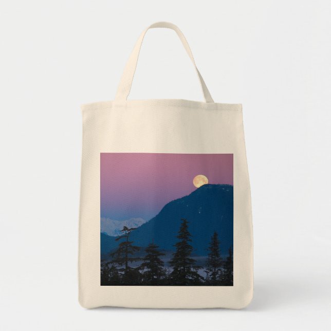 Tote Bag Tombe nocturne en Alaska (Devant)