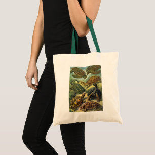 Tote Bag Tortues et tortues terrestres vintage par Ernst Ha