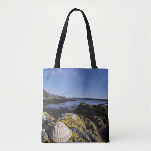 Tote Bag Un coquillage se repose sur une roche | Dumfries, (Devant)