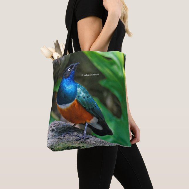 Tote Bag Un Superbe Songbird Starling Africain (De près)