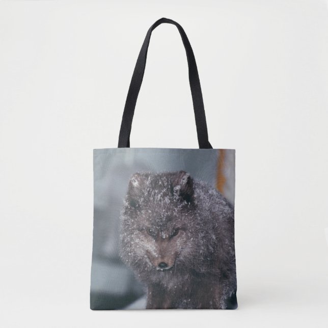 Tote Bag Vibrant Cute Arctic Blue Phase Fox Winter Scène (Devant)