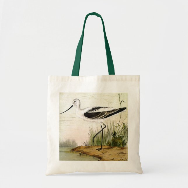 Tote Bag Vieille vie marine Oiseaux de rivage, oiseaux avoc (Devant)